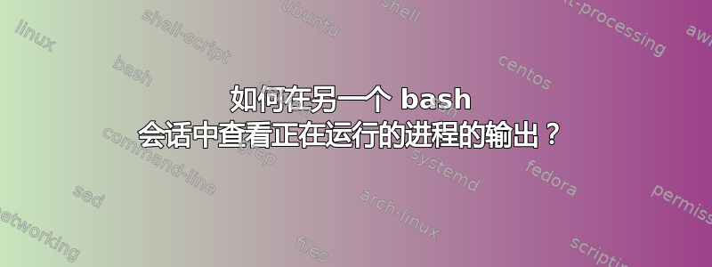 如何在另一个 bash 会话中查看正在运行的进程的输出？