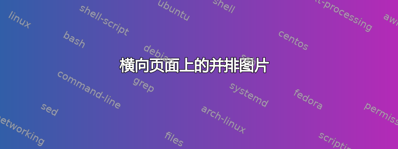 横向页面上的并排图片 