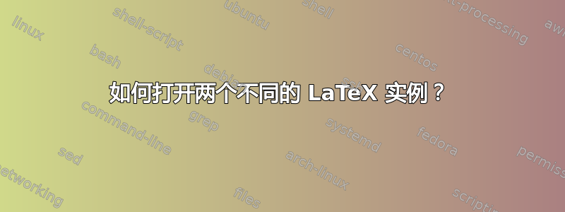 如何打开两个不同的 LaTeX 实例？