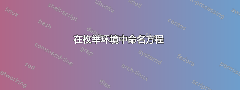 在枚举环境中命名方程