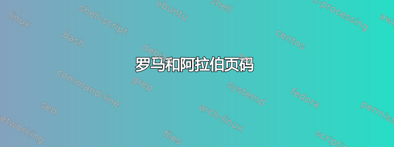 罗马和阿拉伯页码