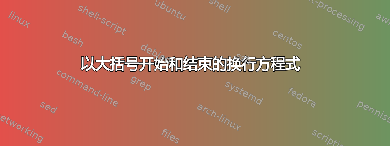 以大括号开始和结束的换行方程式 