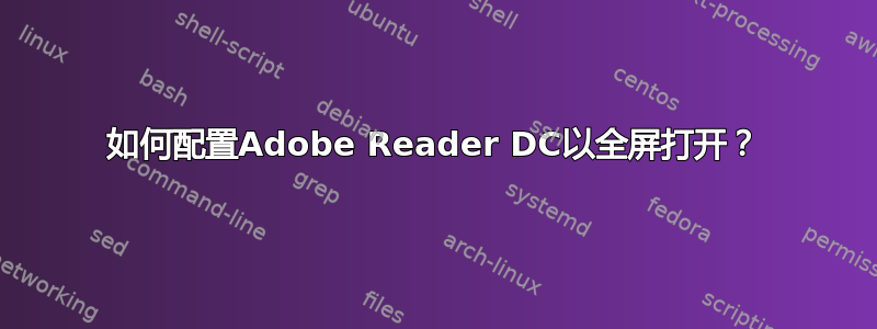 如何配置Adobe Reader DC以全屏打开？