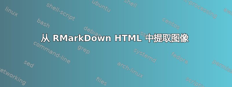 从 RMarkDown HTML 中提取图像