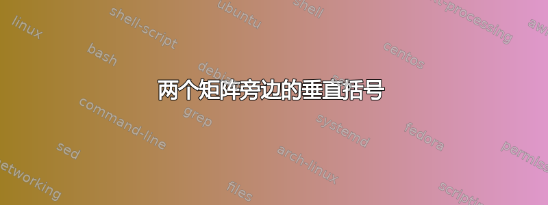 两个矩阵旁边的垂直括号