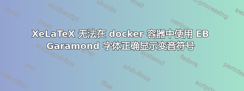 XeLaTeX 无法在 docker 容器中使用 EB Garamond 字体正确显示变音符号