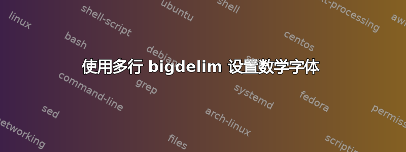 使用多行 bigdelim 设置数学字体