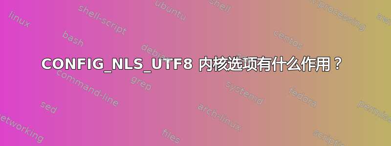 CONFIG_NLS_UTF8 内核选项有什么作用？