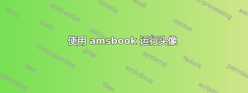 使用 amsbook 运行头像