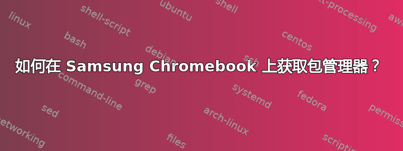如何在 Samsung Chromebook 上获取包管理器？