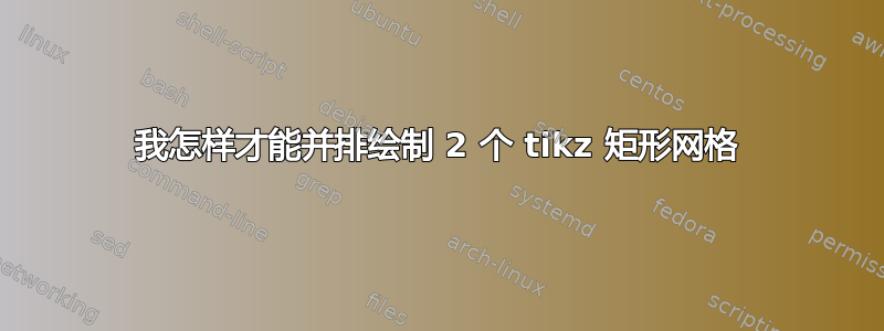 我怎样才能并排绘制 2 个 tikz 矩形网格