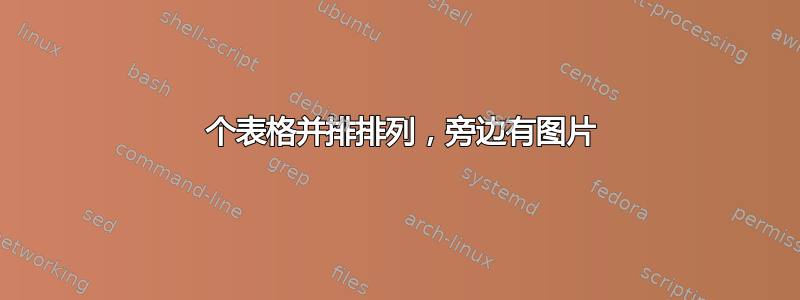 2 个表格并排排列，旁边有图片