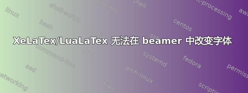 XeLaTex/LuaLaTex 无法在 beamer 中改变字体