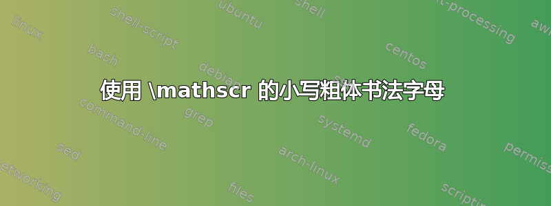 使用 \mathscr 的小写粗体书法字母