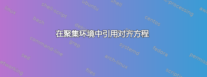 在聚集环境中引用对齐方程