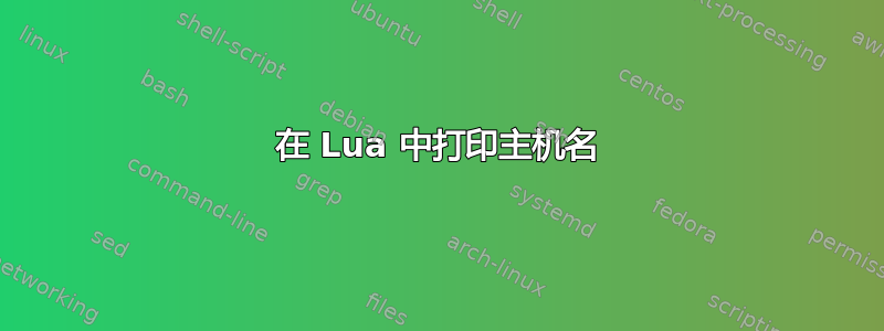 在 Lua 中打印主机名