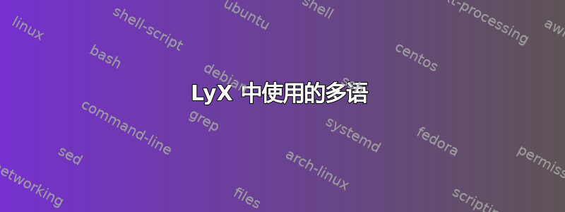 LyX 中使用的多语