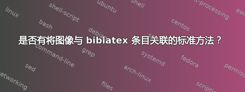 是否有将图像与 biblatex 条目关联的标准方法？