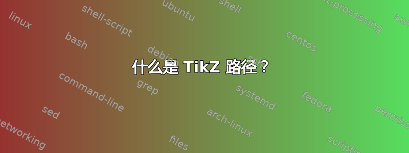 什么是 TikZ 路径？