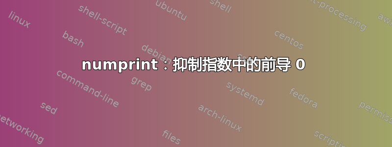 numprint：抑制指数中的前导 0