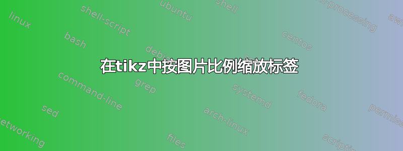 在tikz中按图片比例缩放标签