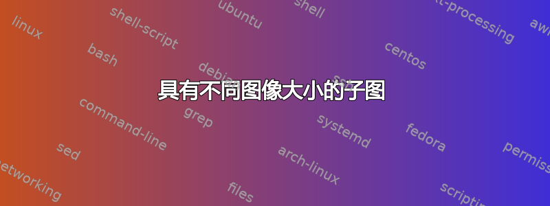 具有不同图像大小的子图