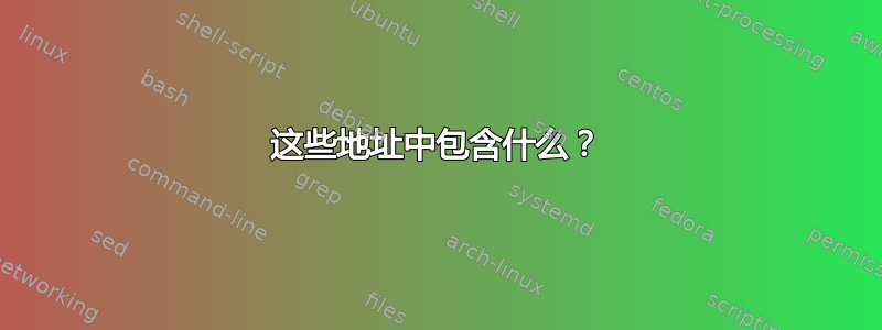 这些地址中包含什么？