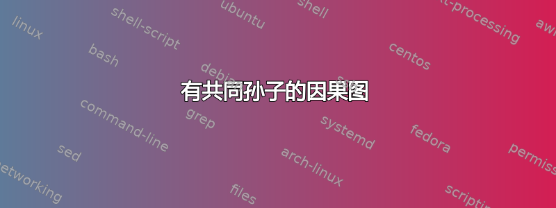 有共同孙子的因果图