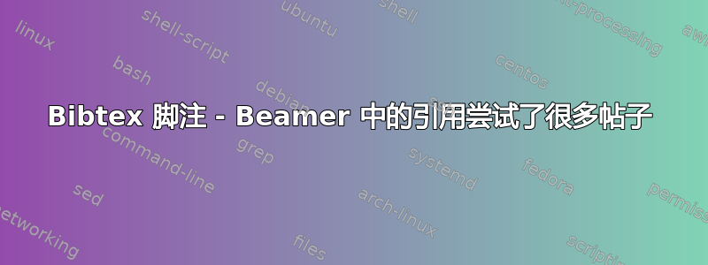 Bibtex 脚注 - Beamer 中的引用尝试了很多帖子