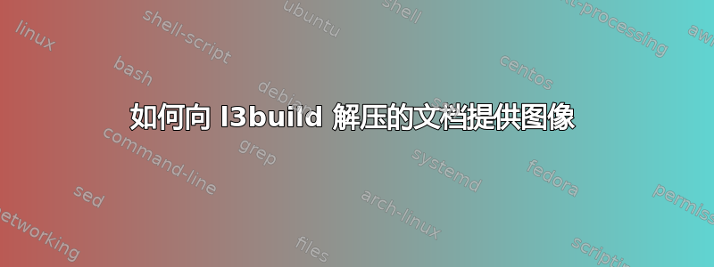 如何向 l3build 解压的文档提供图像