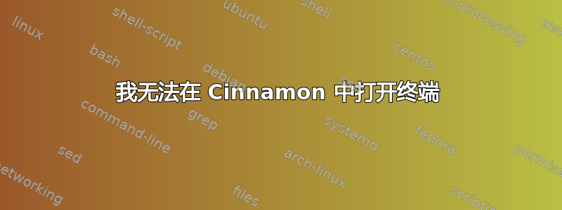 我无法在 Cinnamon 中打开终端