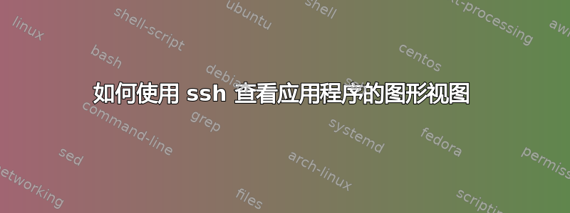 如何使用 ssh 查看应用程序的图形视图