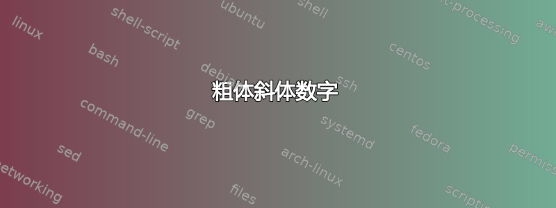 粗体斜体数字