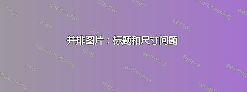 并排图片：标题和尺寸问题