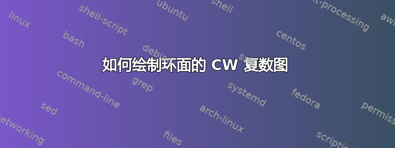 如何绘制环面的 CW 复数图