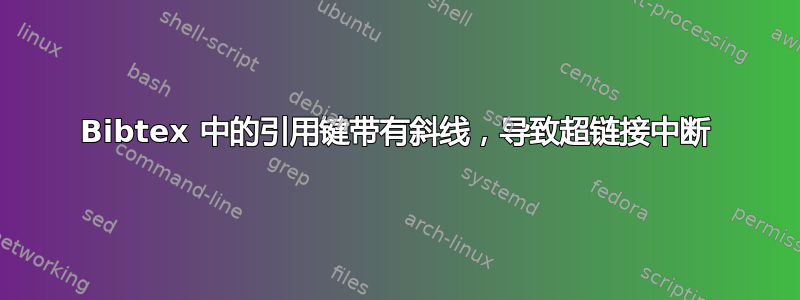 Bibtex 中的引用键带有斜线，导致超链接中断