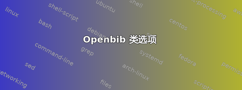 Openbib 类选项