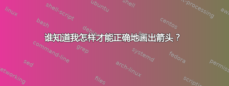 谁知道我怎样才能正确地画出箭头？