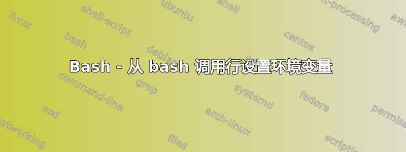 Bash - 从 bash 调用行设置环境变量