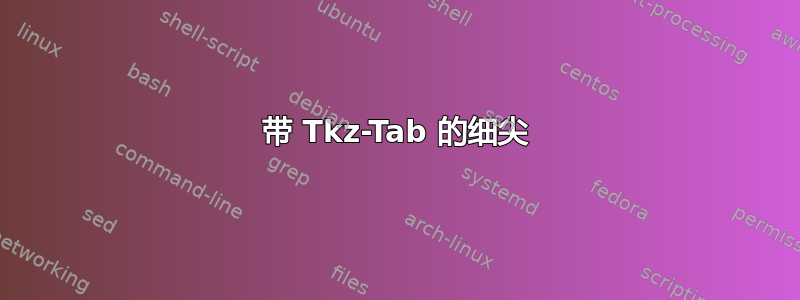 带 Tkz-Tab 的细尖