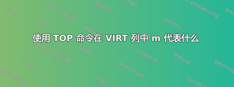 使用 TOP 命令在 VIRT 列中 m 代表什么