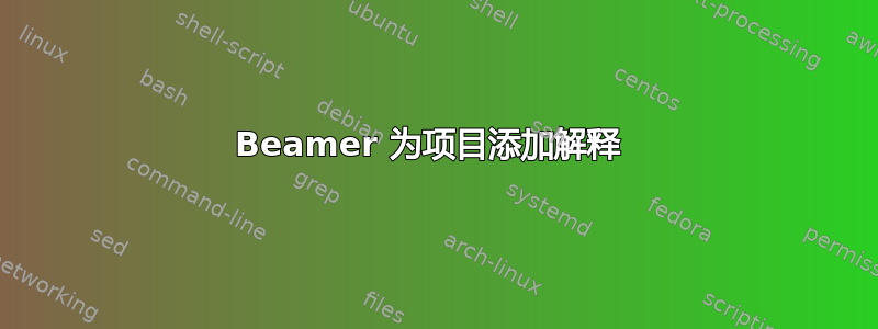 Beamer 为项目添加解释 