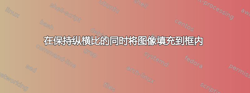 在保持纵横比的同时将图像填充到框内