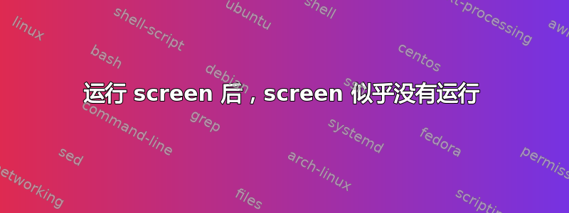 运行 screen 后，screen 似乎没有运行