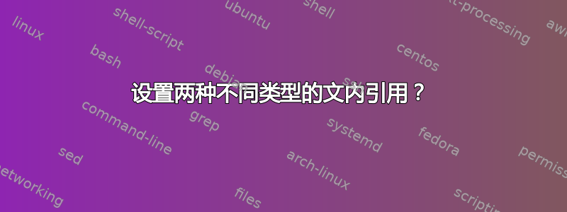 设置两种不同类型的文内引用？