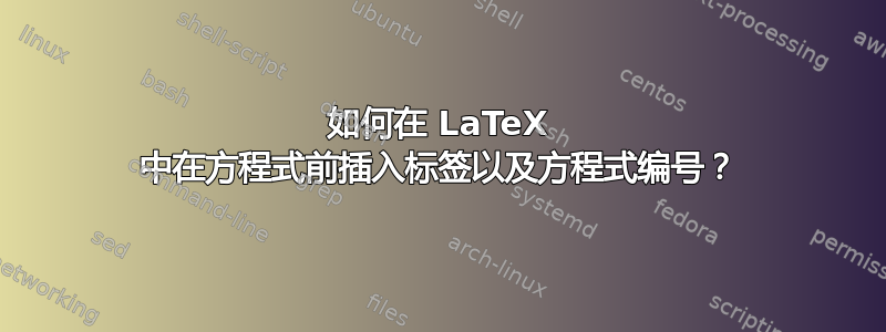 如何在 LaTeX 中在方程式前插入标签以及方程式编号？