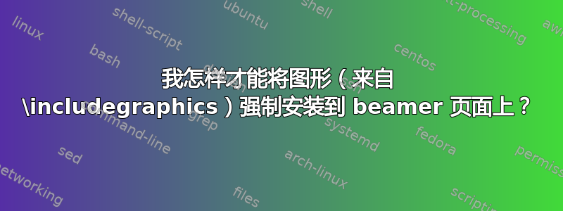 我怎样才能将图形（来自 \includegraphics）强制安装到 beamer 页面上？