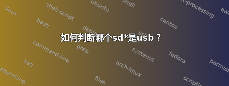 如何判断哪个sd*是usb？ 