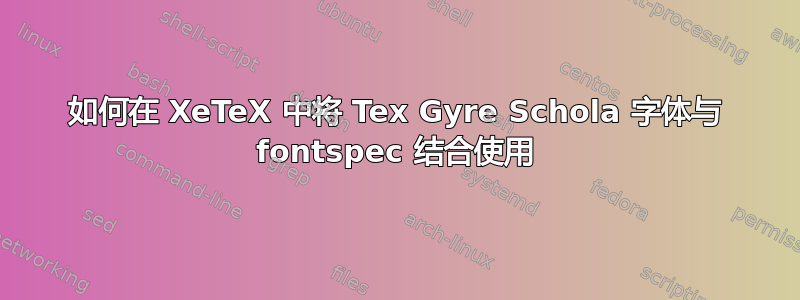 如何在 XeTeX 中将 Tex Gyre Schola 字体与 fontspec 结合使用