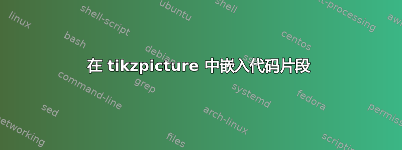 在 tikzpicture 中嵌入代码片段